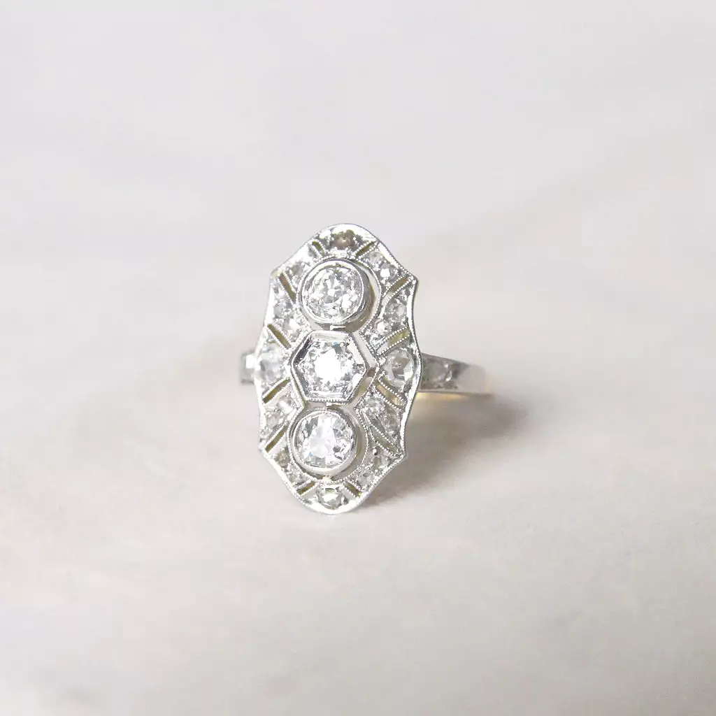 Art Deco 0.80 Carat Old and Rose Cut Diamond Panel Cluster