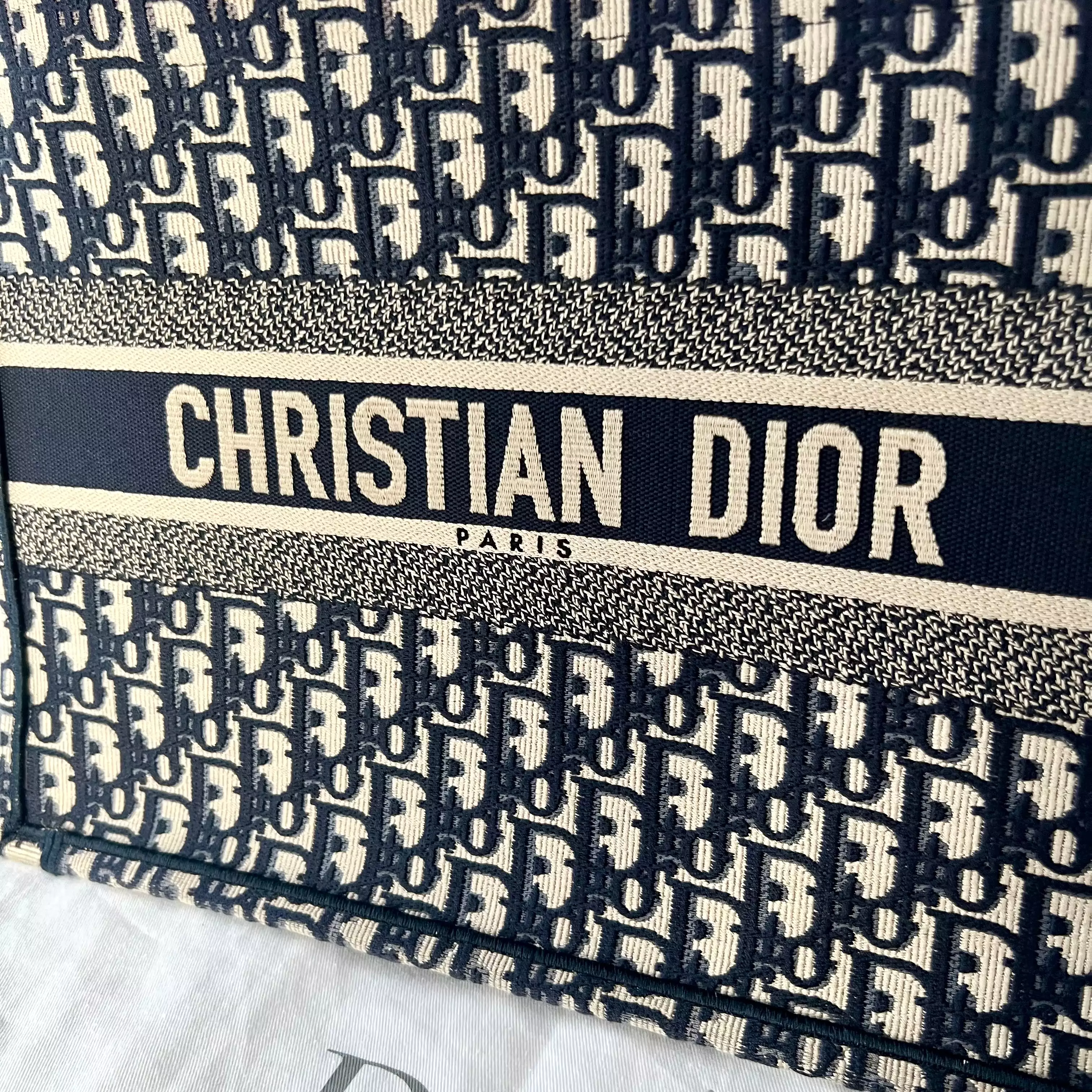 Christian Dior Book Tote Bag