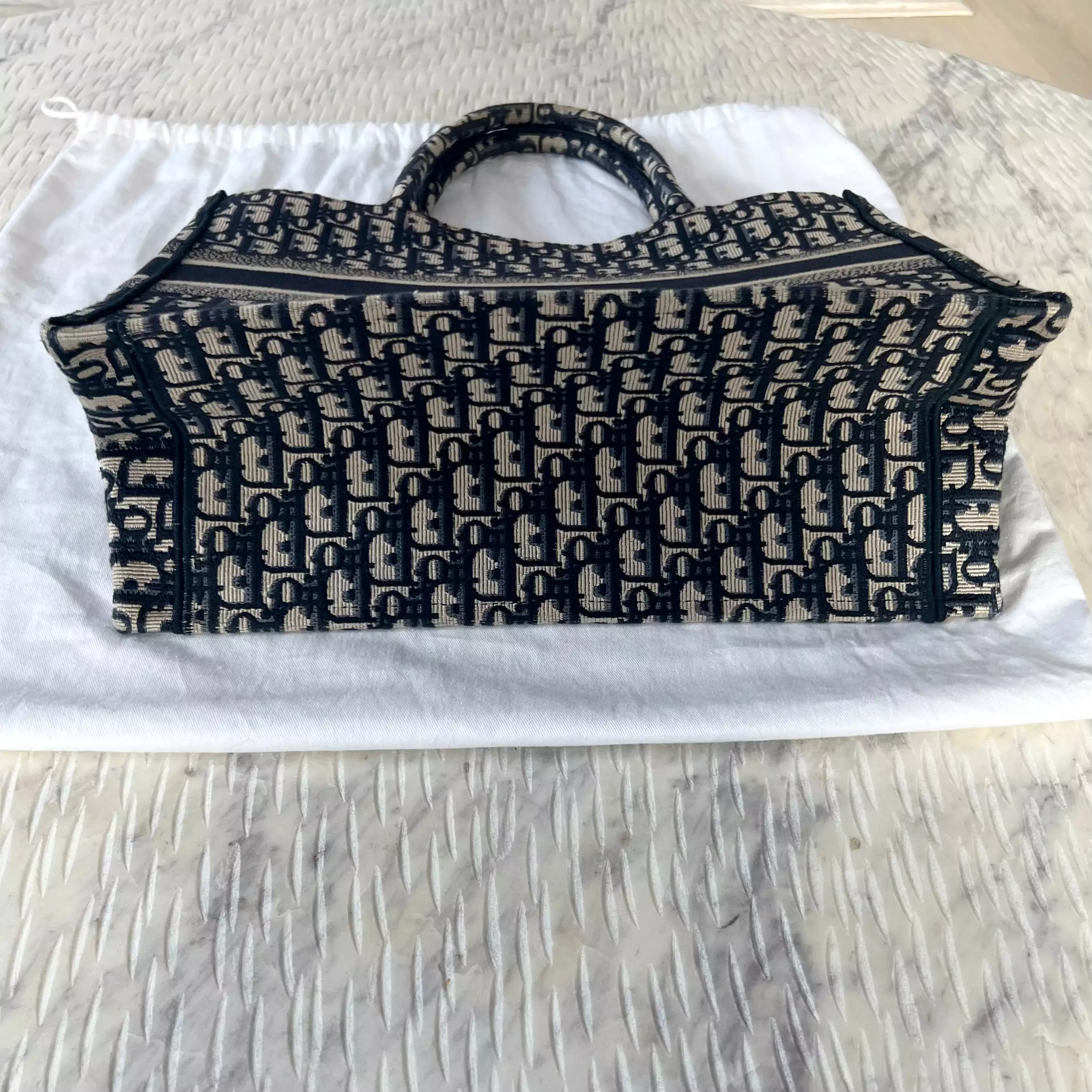 Christian Dior Book Tote Bag